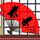 玉观音